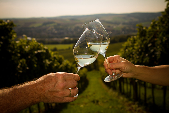 Zwei Gläser Weißwein beim Anstoßen im Weingarten